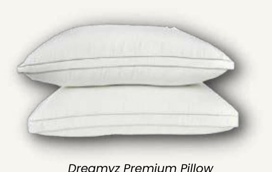 Dreamyz Premium Pillow